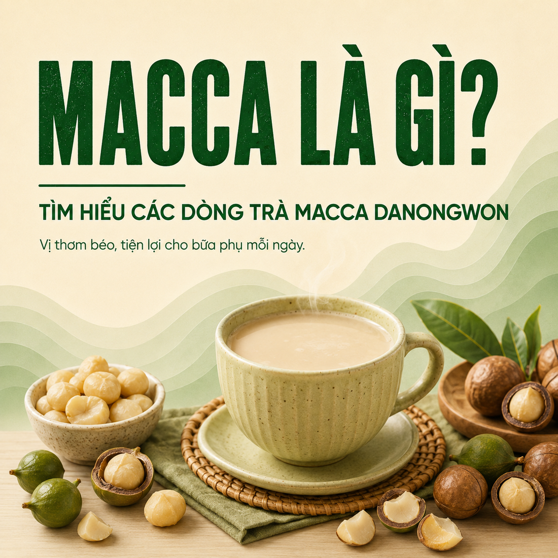 Macca là gì? Tìm hiểu các dòng trà macca Danongwon